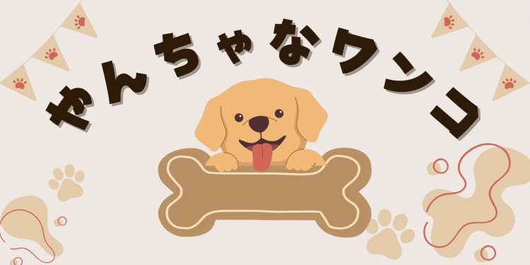 カワイイがいっぱい！ワンダーランド